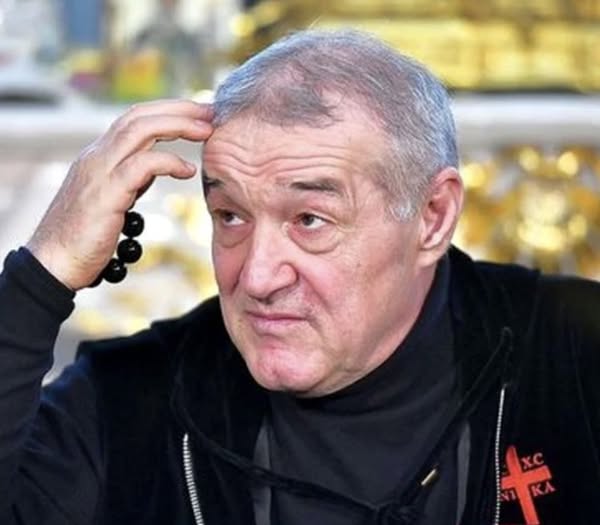 De ce s-a retras, de fapt, Gigi Becali din partid .Latifundiarul din Pipera aruncă cuvinte grele la adresa Anamariei Gavrila. Ce a putut sa spuna