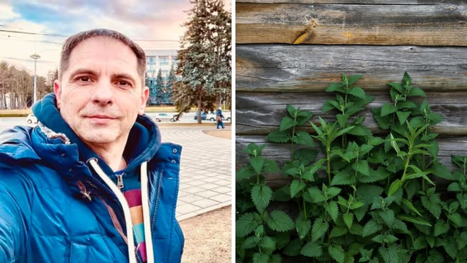 Dan Negru, revoltat de prețul urzicilor. Ar trebui să fie un aliment care să „astupe foamea săracului”, dar au ajuns un lux