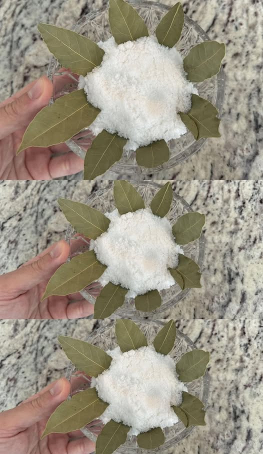 Frunzele de dafin și sarea: o combinație mai valoroasă decât aurul! Bunica mea m-a învățat cum să le folosesc