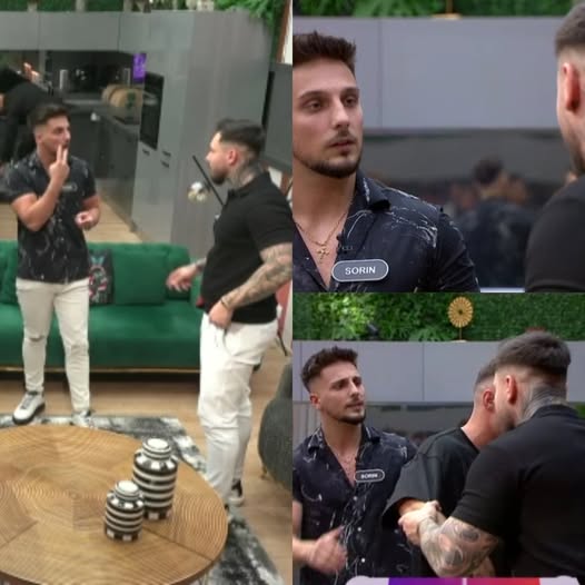 Conflict de proporții între Sorin și Robert.  De la ce a pornit cearta între cei doi concurenți: „Controlează-te!”
