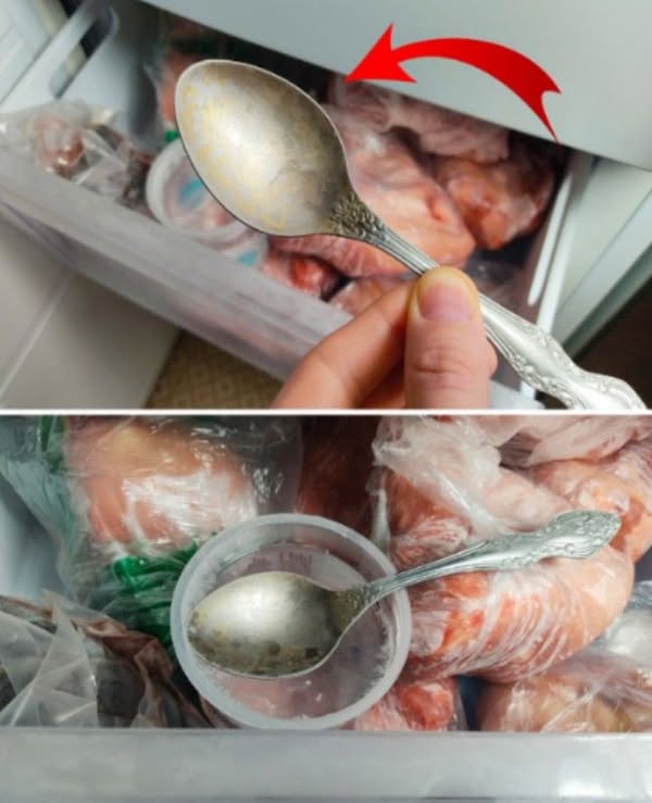 Am fost la vecina mea și am observat că ținea o lingură în congelator . Am fost uimit când am aflat pentru ce