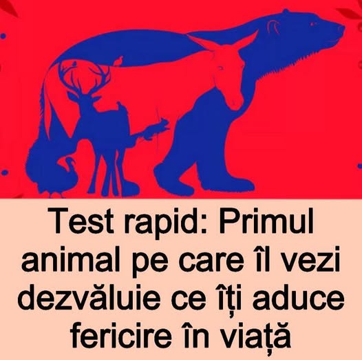 Test de personalitate: Primul animal pe care îl vezi dezvăluie ce îți aduce fericire în viață, vezi în primul comentariu