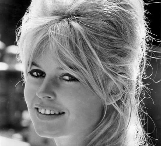 Viorel Lis, dezvăluire surprinzătoare! A cucerit-o pe Brigitte Bardot, simbolul senzualității anilor ’60.Vezi in comentarii