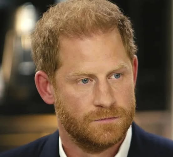 526747723 1176449727846790 35856708845513086 n