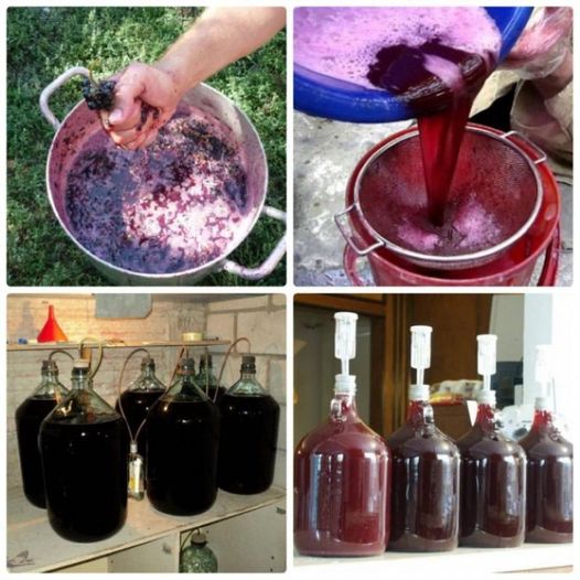 Ce trebuie sa pui in must ca să nu fermenteze prea repede. Vezi in Comentarii secretul gospodarilor de la țară