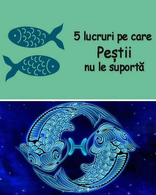 539475596 1213916467443249 8550291209057831065 n