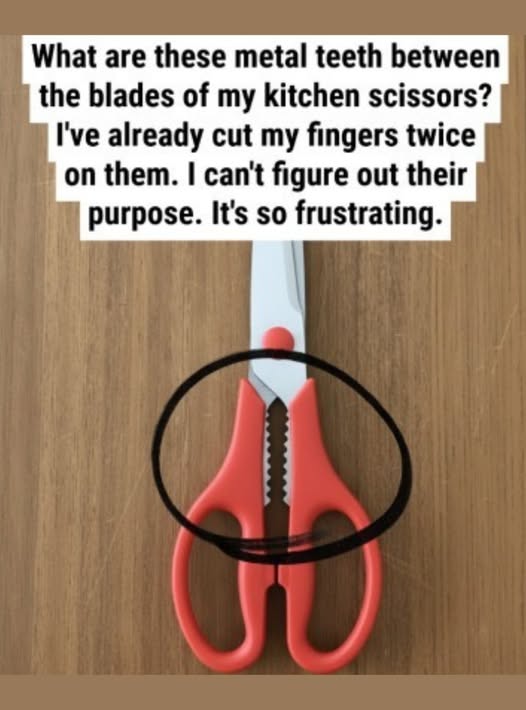 Care este scopul acelei porțiuni zimțate de pe foarfecile de bucătărie?