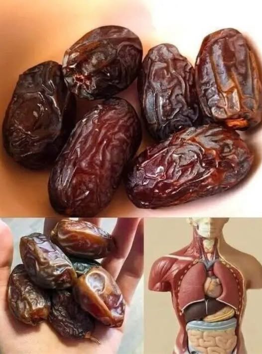 „Unul dintre cele mai sănătoase fructe de pe Pământ: ce se întâmplă în corpul tău dacă mănânci doar 3 pe zi…”