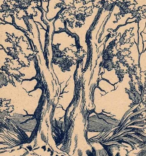 Iluzie optică virală: doar mințile agere pot descoperi cele 3 chipuri ascunse. vezi in comentarii