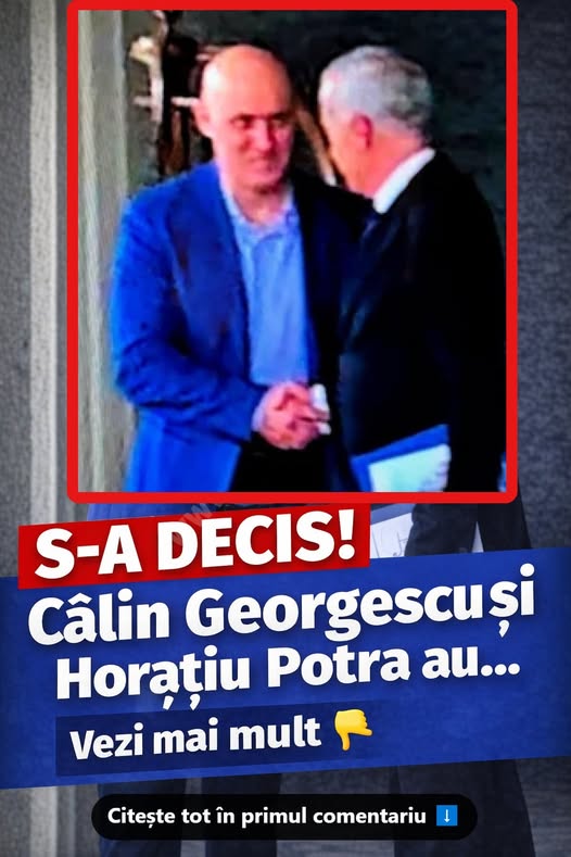 Călin Georgescu și Horațiu Potra,