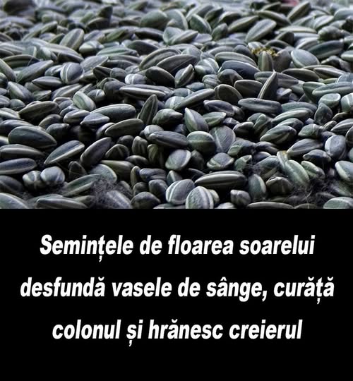Semințele de floarea-soarelui: ce beneficii reale au și cum pot fi consumate corect