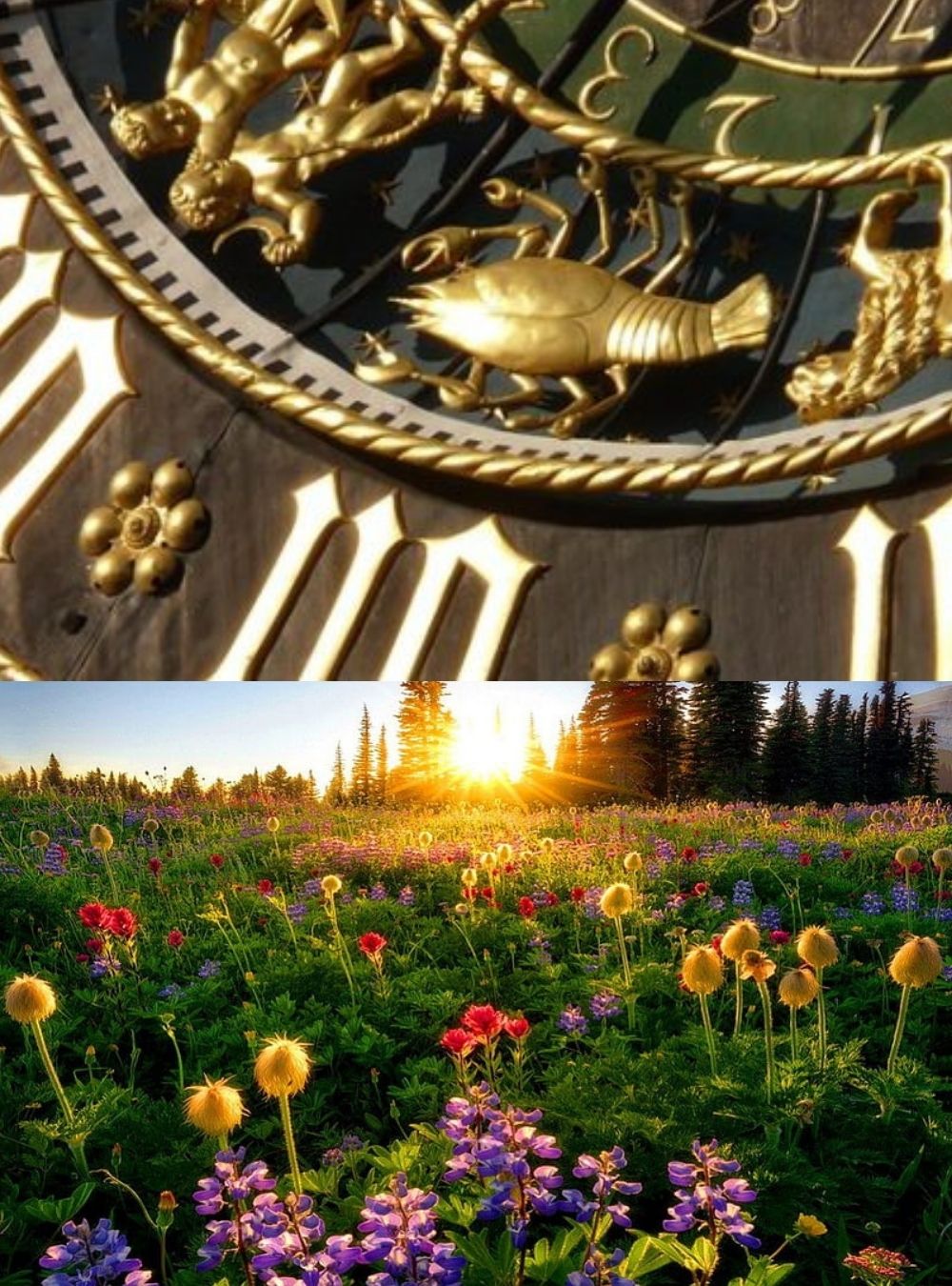 Astrele sunt de partea lor în martie! Zodiile care sunt în centrul atenției la începutul primăverii