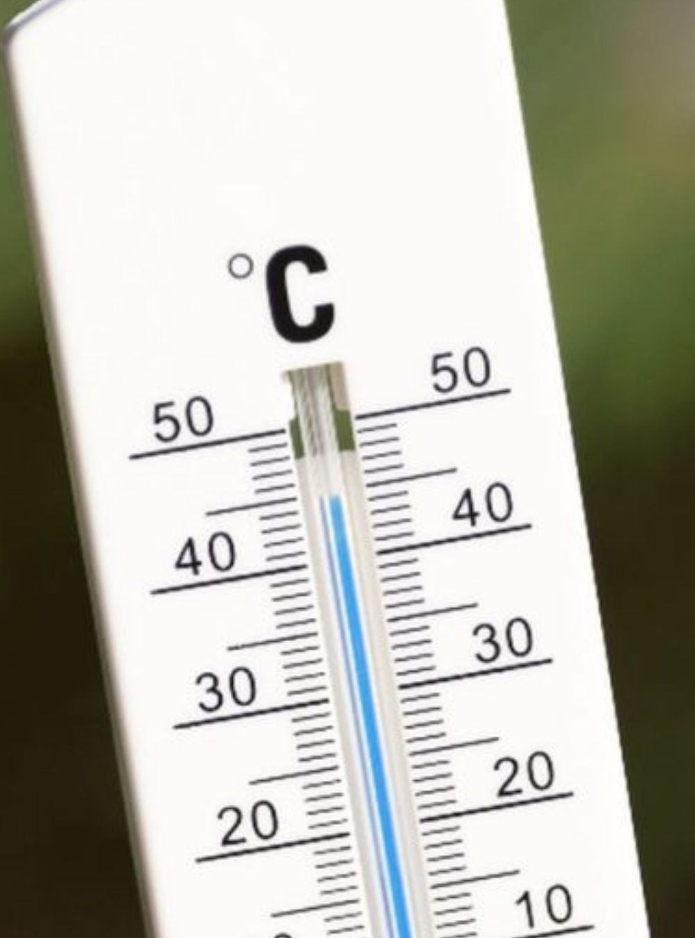 Prognoza meteo pentru următoarele patru săptămâni