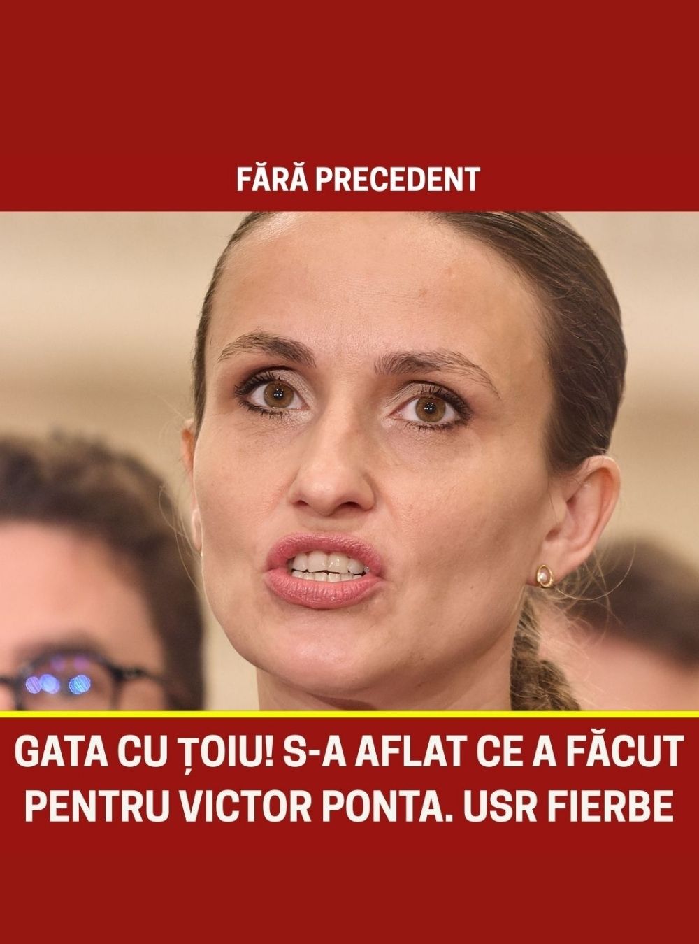 Acuzațiile familiei Ponta și răspunsul Oanei Țoiu