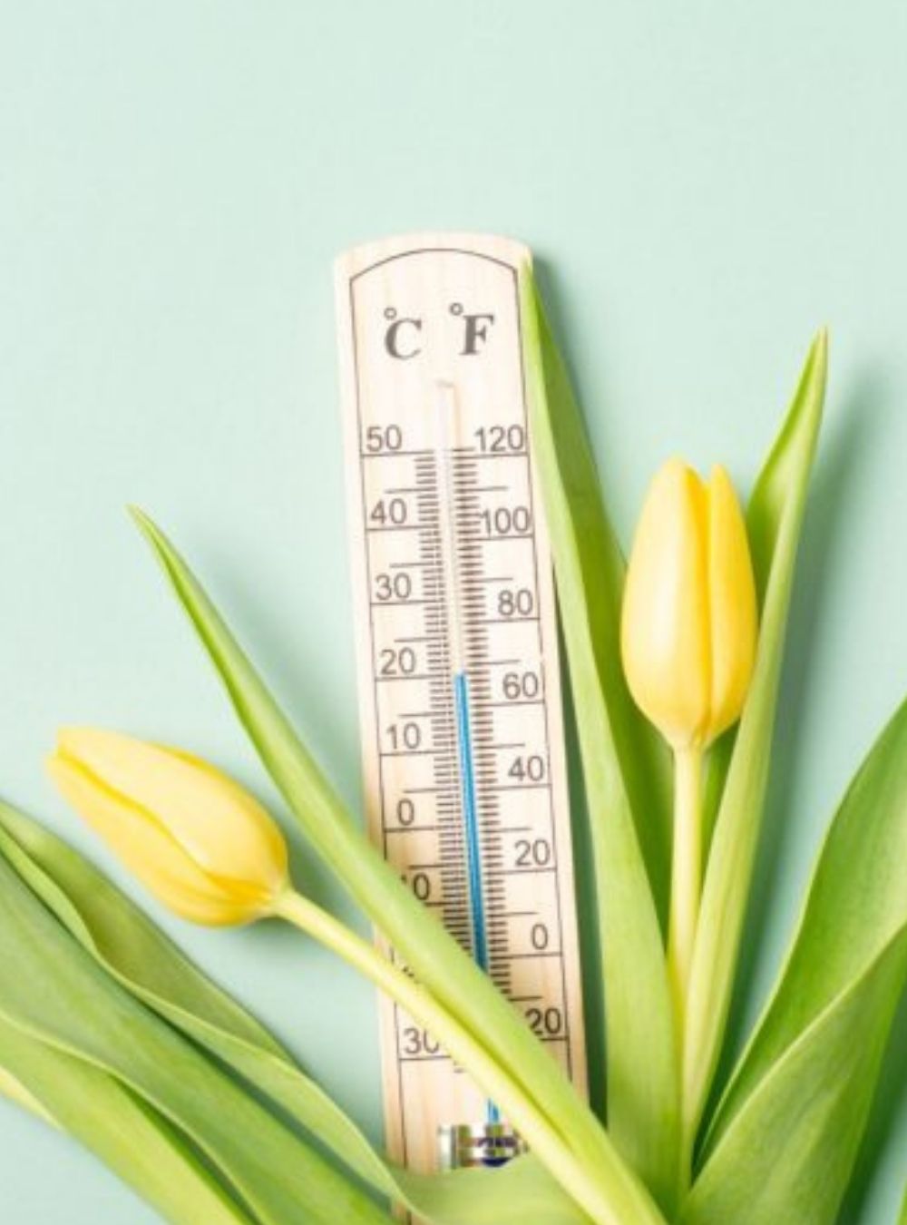 Cum va fi vremea de Paște în țară