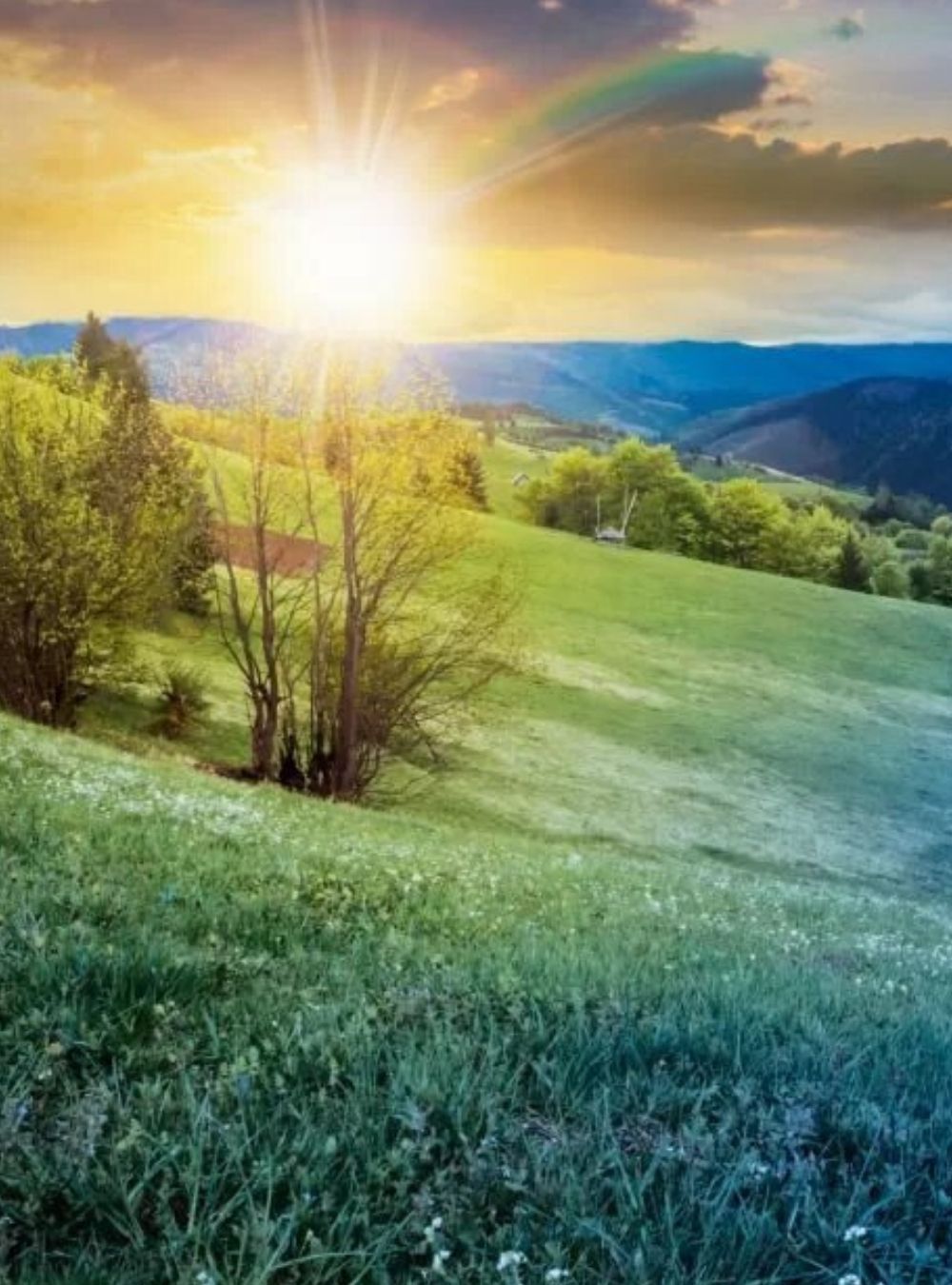 ECHINOCTIUL de primavara din 20 martie