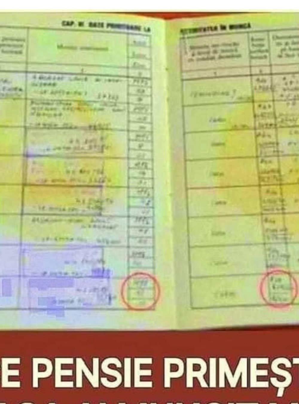 Ce pensie minimă primești dacă ai cotizat doar 10 – 15 ani