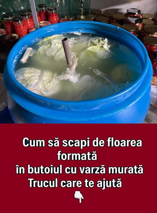 Truc simplu pentru o varză murată perfectă: cum scapi rapid de floarea albicioasă din butoi