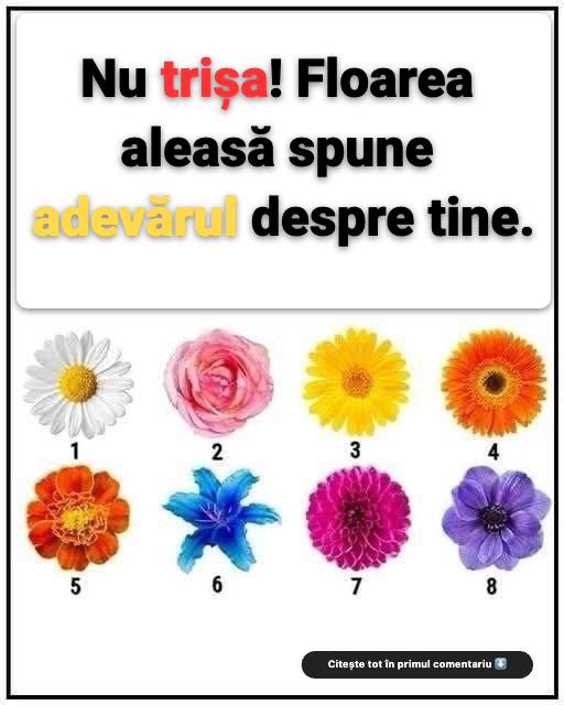 Floarea pe care o culegi îți va dezvălui cea mai adevărată trăsătură