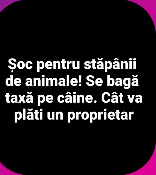 Ș0c pentru stăpânii de animale! Se bagă taxă pe câine. Cât va plăti un proprietar