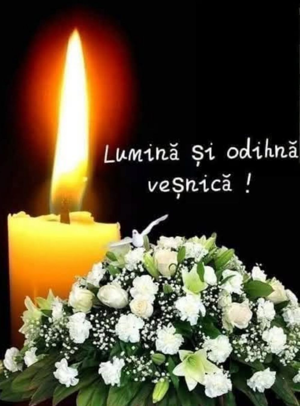 Ingrozitor, ce durere! A murit Elena Ce… Vezi mai mult