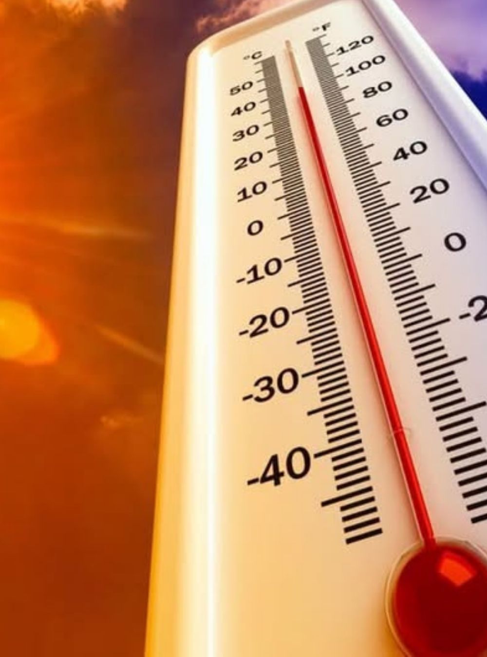Cod galben de caniculă în 14 județe din țară. Zonele vizate de temperaturi de peste… Vezi mai mult