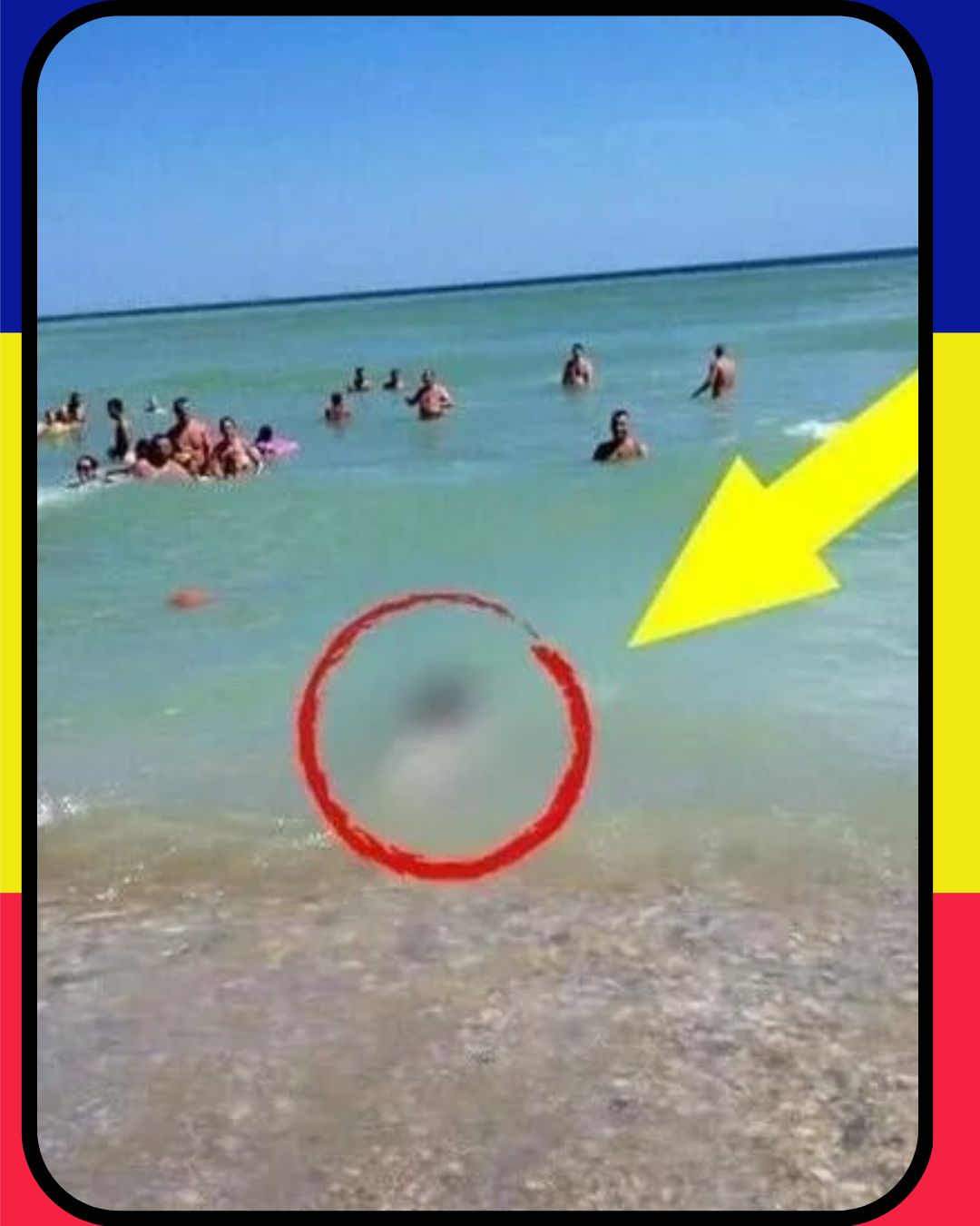 Turiștii din Costinești au rămas fără cuvinte : surpriza pe care au adus-o valurile la mal.
