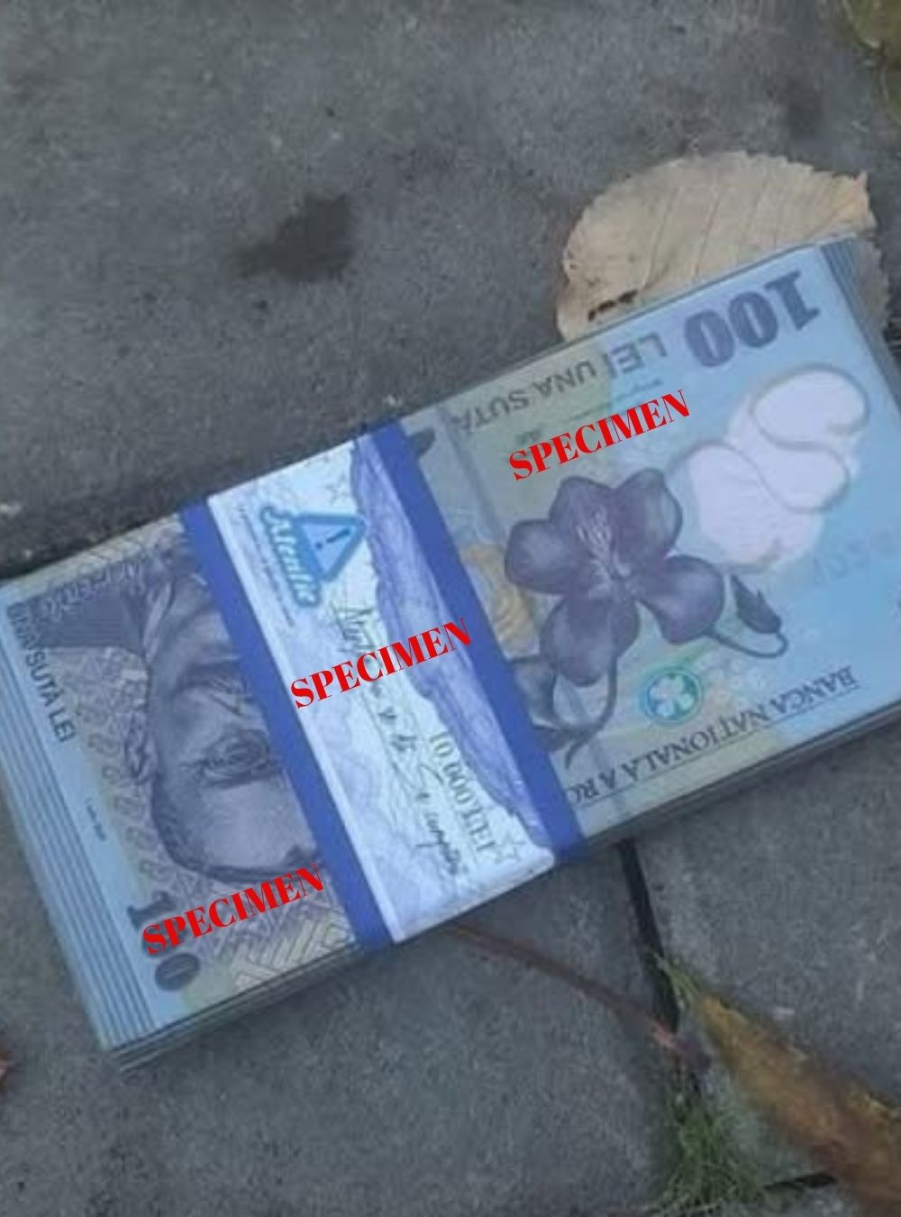 Un tânăr din Iași a găsit un „teanc de bani” într-un parc. Ce a descoperit după ce a sunat la poliție?