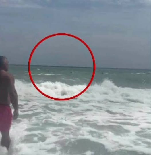Pericol ascuns la malul Mării Negre! Peștele veninos pe care turiștii îl pot călca