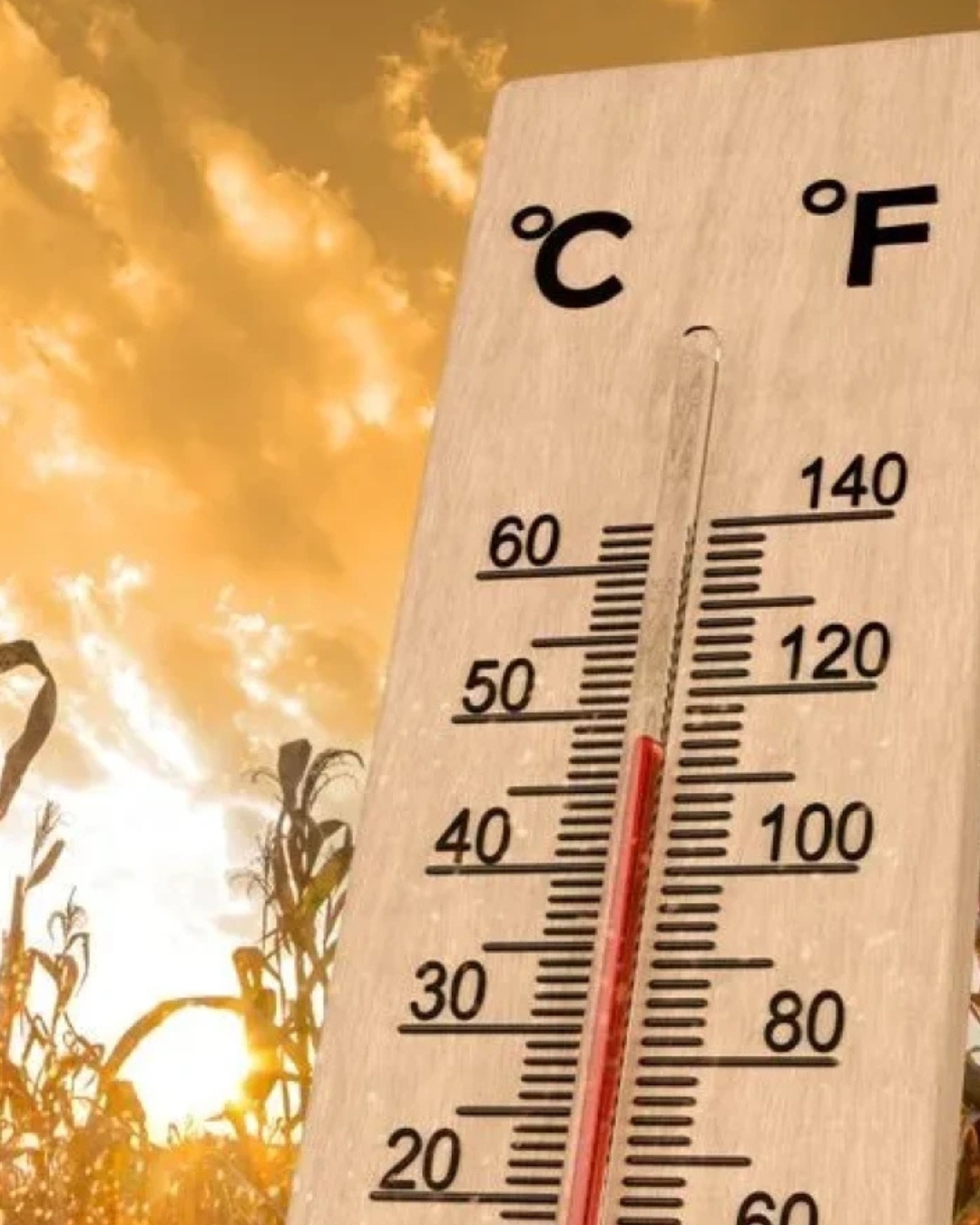 Canicula revine în forță în România. Regiunile unde temperaturile vor urca până la 39 de grade