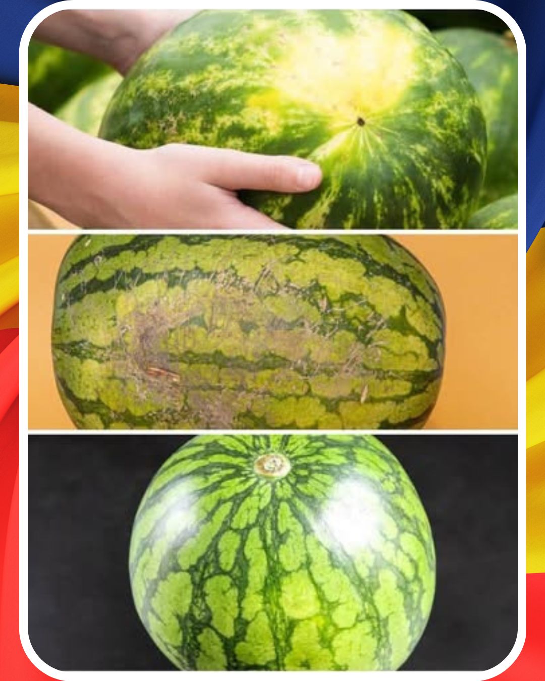 Cum alegi pepenele bine copt. Semnele care îți arată că este dulce și zemos