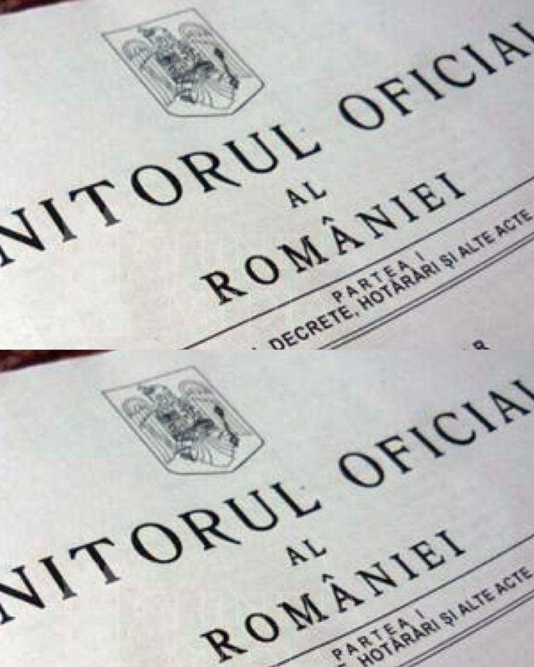 Decizie importantă pentru angajații Ministerului Muncii: primesc salariile câștigate în instanță, plus dobândă