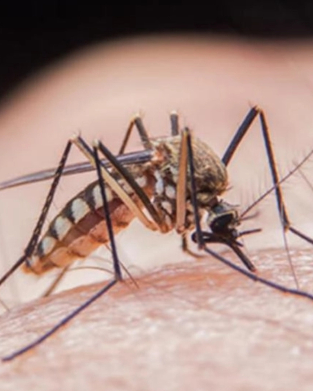 Alertă în plin sezon al vacanțelor. Virusul care se răspândește rapid