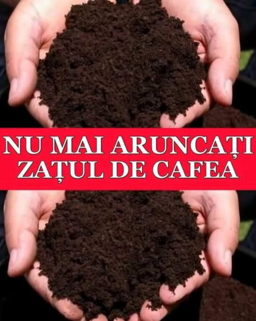 Nu mai arunca zațul de cafea! 7 întrebuințări surprinzătoare