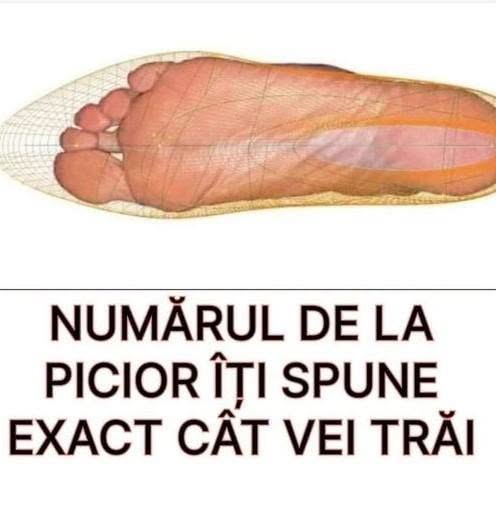 Știai Că Numărul De La Picior Spune Exact Cat Vei Trăi? Citește Să Vezi Unde Te Încadrezi