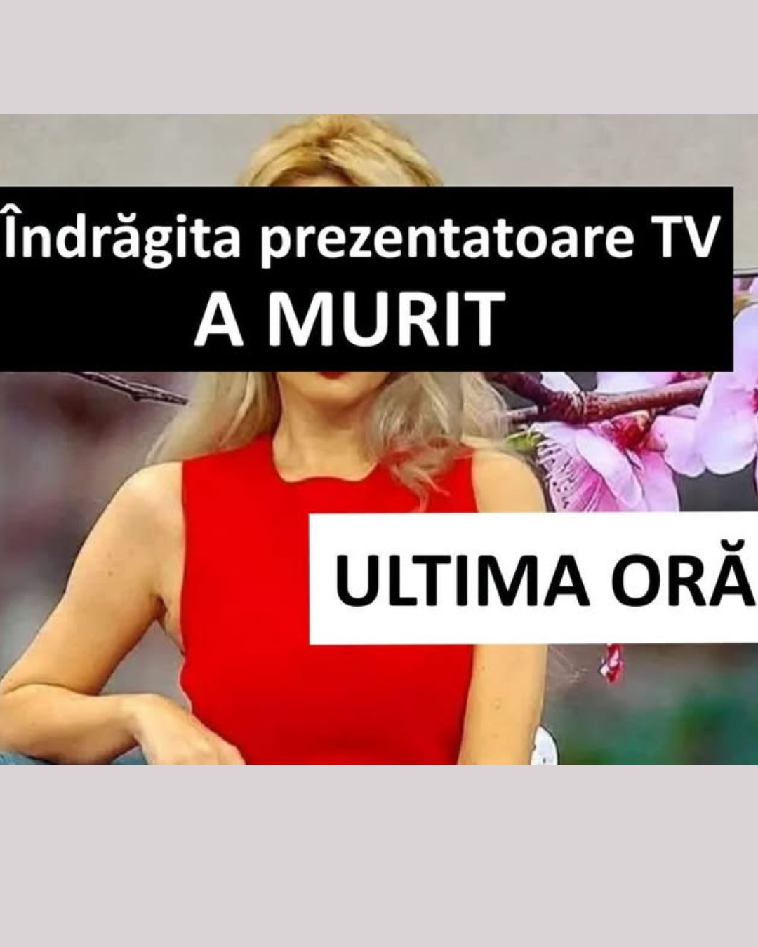 ULTIMA ORĂ / Anunțul care cutremură lumea presei din România!! A MURIT o îndrăgită prezentatoare TV
