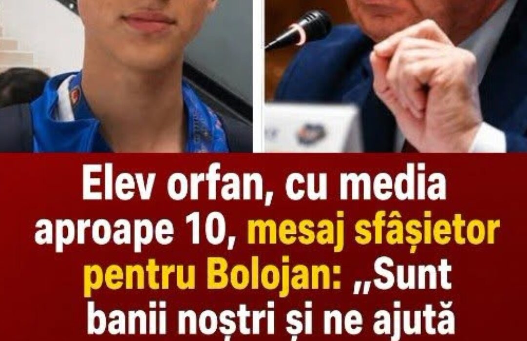 Sdfsf
