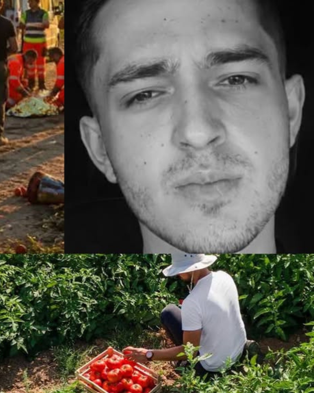 INFORMAȚII NOI! Tânărul de 19 ani care culegea roșii a decedat din cauza…